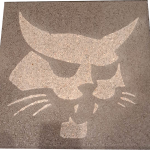 bobcat
